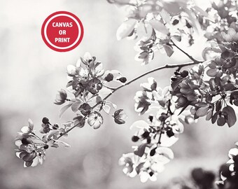 Black and White Floral Print - Crabapple Branch, Neutral Grey Wall Art