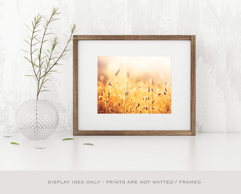 Mustard Yellow Decor Botanical Print, Gold Wall Art, Fine Art Photographs, Nature Wall Art image 7