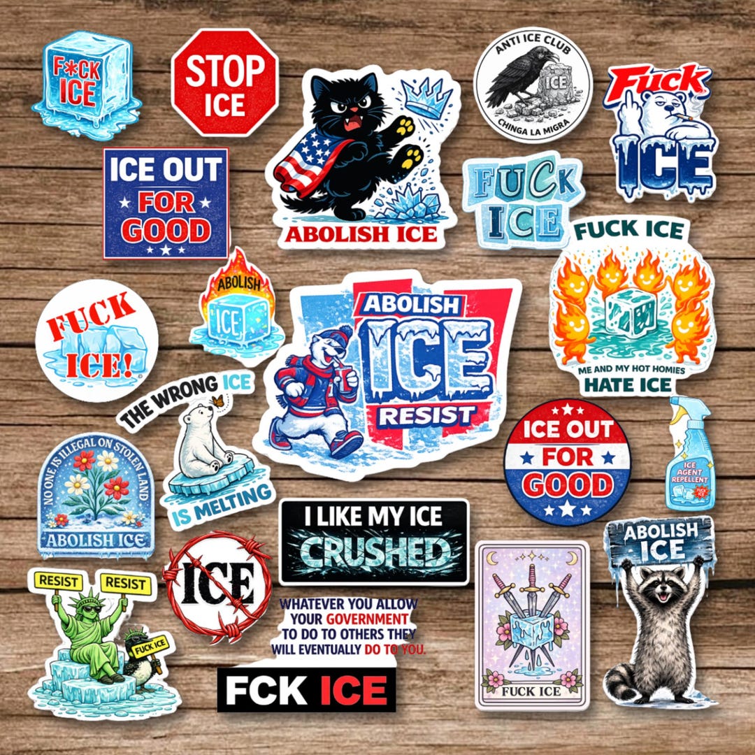 24pcs ICE Out Sticker Pack, Anti Trump Stickers, Anti Fascism Stickers ...