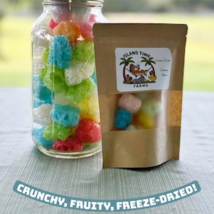 Freeze-Dried Gummy Bears – Crunchy Fruity Candy | Unique Sweet Treat