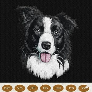 Peut inclure: Une broderie détaillée du visage d'un chien Border Collie, avec une fourrure noire et blanche et une langue rose. Les yeux du chien sont visibles, et le motif est sur un fond noir. Formats de fichiers de broderie listés en dessous.