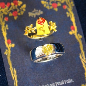 Beauty and the Beast Jewelry Box - Etsy
