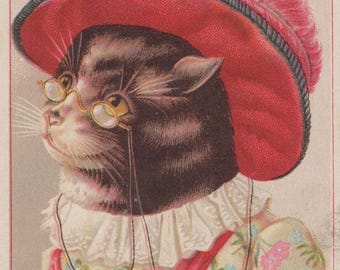 1889 Marshall & Ball Anthropomorphe Viktorianische Dress Cat Antique Trade Card A7A