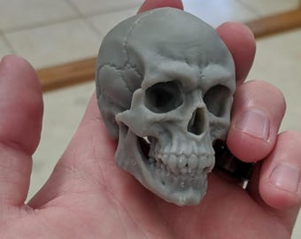 May include: A gray skull figurine with detailed bone structure, including eye sockets, nasal cavity, and teeth. The skull is held in a hand, showcasing its size and intricate design. The figurine is a decorative item.