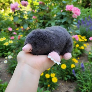 以下が含まれることがあります： ピンクの鼻と足を持つ、柔らかい灰色のモグラのおもちゃ。 ぬいぐるみは柔らかく毛むくじゃらの質感で、手に持たれています。 背景には、ピンクのバラやその他のカラフルな花が咲く庭があります。