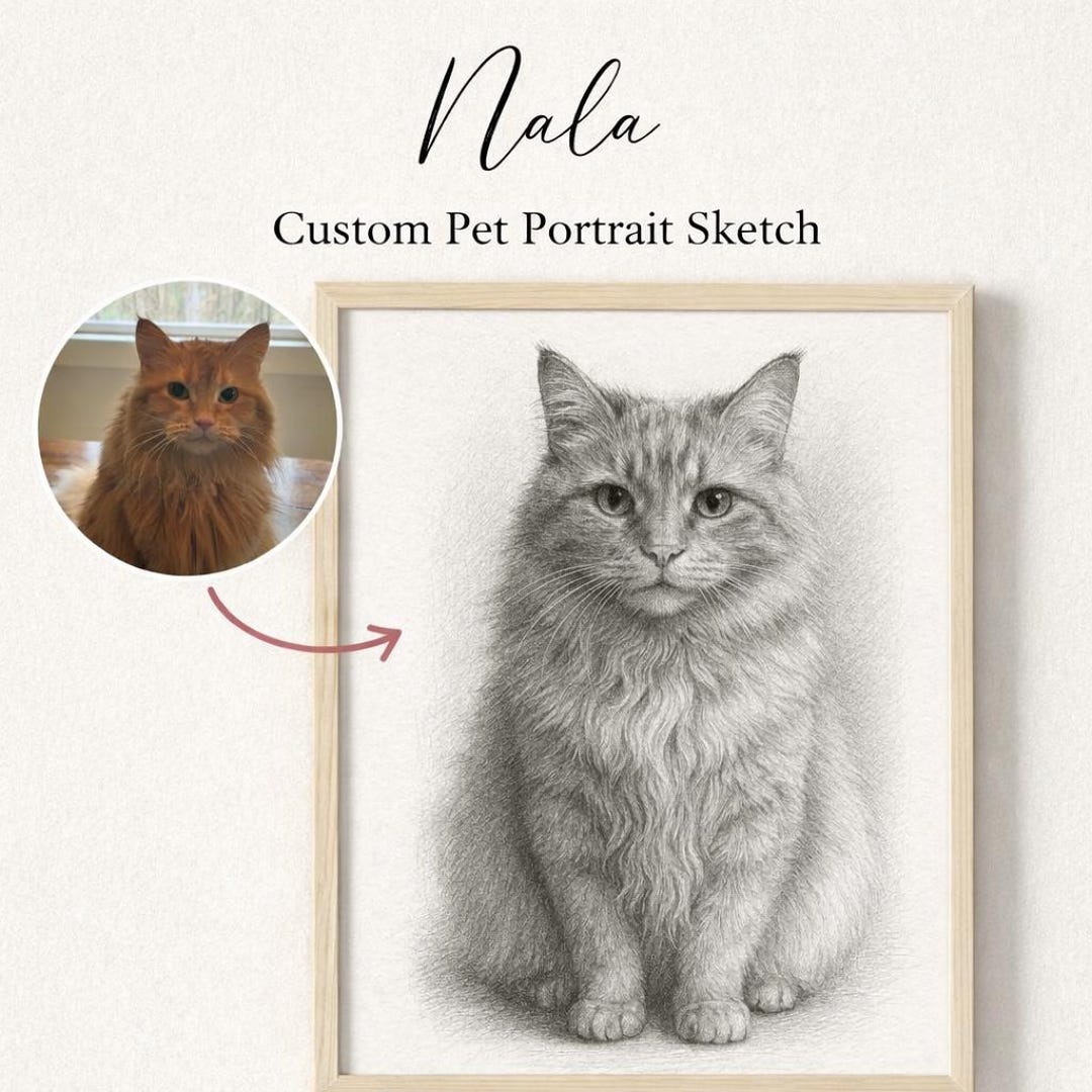 Custom Pet Portrait Sketch From Photo | Personalized Dog or Cat Pencil ...