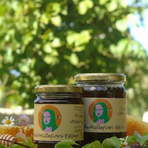 Miele Mille Fiori Estivo 100% naturale prodotto a vinci