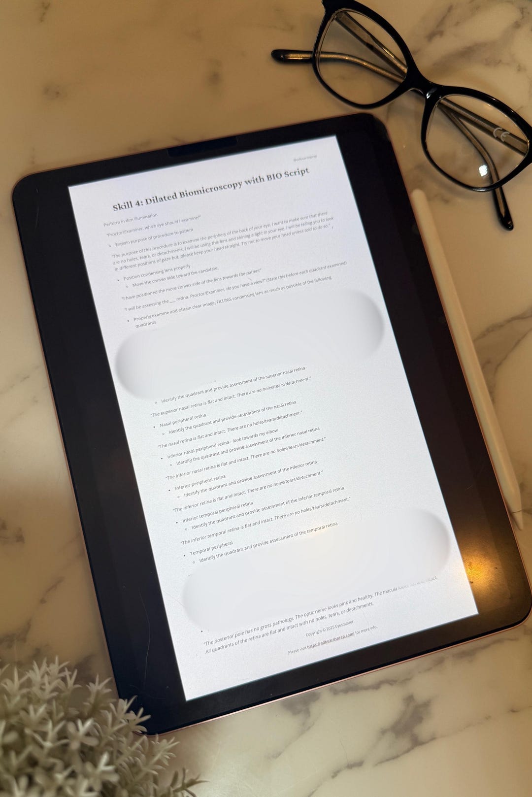 Part III Posterior Segment Script - Etsy