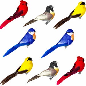 May include: A collection of decorative artificial birds in various colors, including red, yellow, blue, and gray. Each bird has a long tail and is designed with detailed feathering. These birds are likely intended for crafting or decorative purposes.