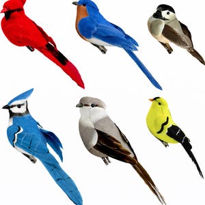 May include: A collection of six artificial birds in various colors. The birds include a bright red cardinal, a bluebird, a bird with a black head and brown body, a blue jay, a gray bird, and a yellow bird with black accents.