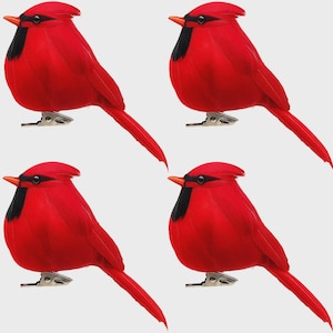 May include: Four bright red cardinal bird ornaments with black accents and orange beaks. Each bird has a metal clip for easy attachment. These decorative birds are ideal for seasonal decor and crafts.