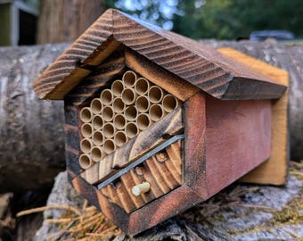 Mason Bee House With Observation Windows