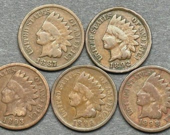 Indian Head Cent Lot (5 Coins) | Different Dates 1880–1899 | Vintage U.S. Pennies