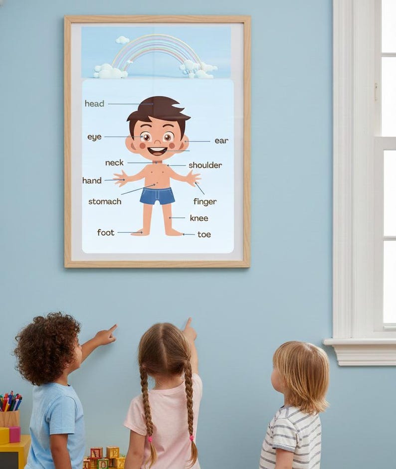 Labeled Body Parts Chart Rolled Posters | Kids Anatomy Poster | Bright ...