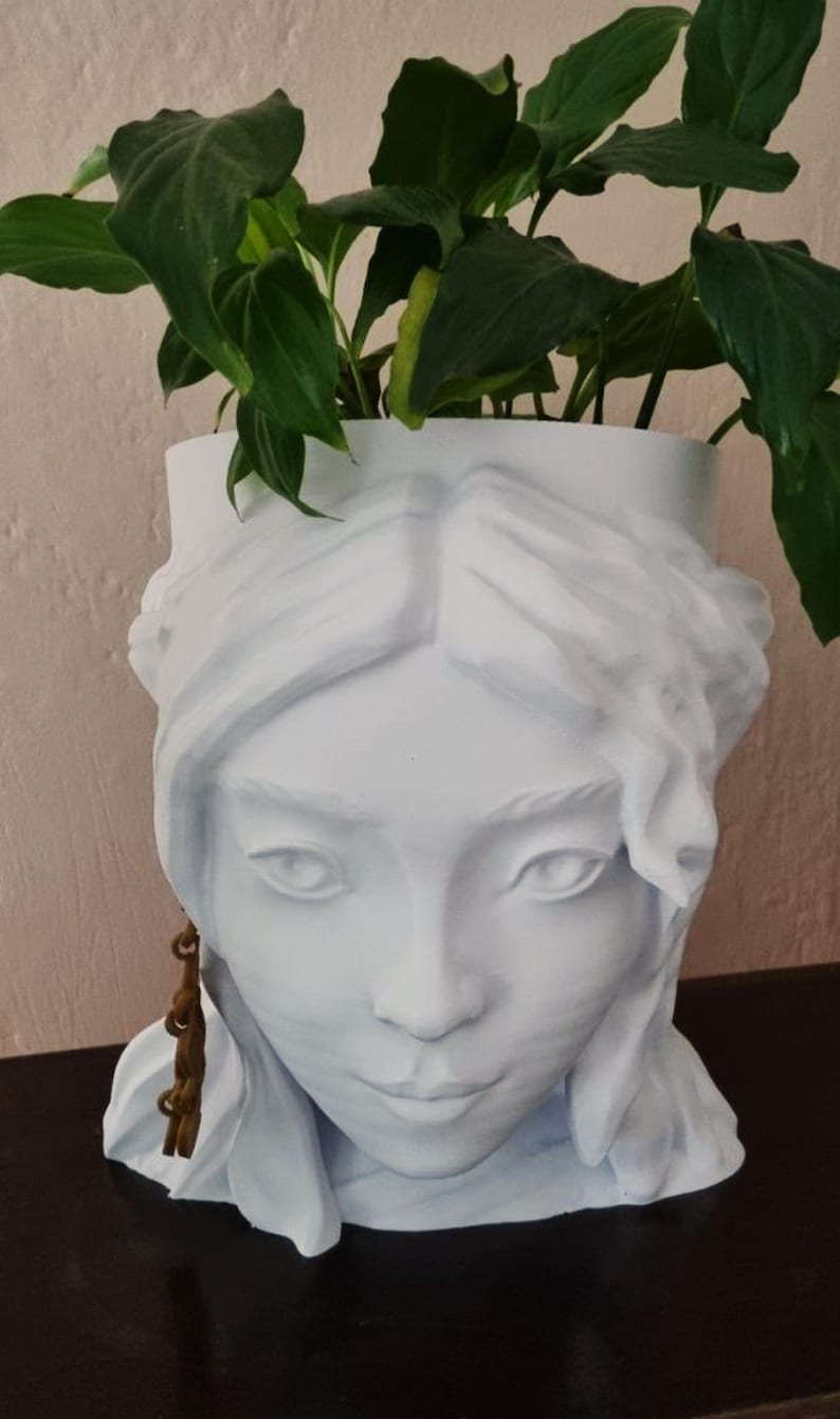 Woman Face Planter Cove