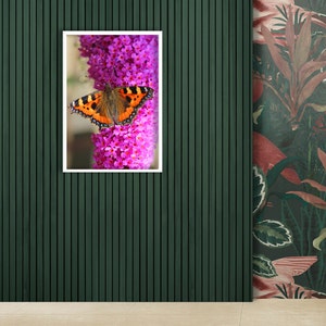 Butterfly Wall Art, Small Tortoiseshell Butterfly Wall Art, Animal Wall Art