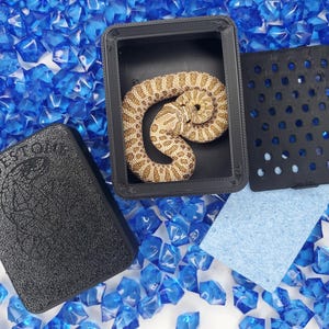 May include: A coiled tan and brown snake rests inside a black plastic enclosure. The enclosure is open, with a separate lid and a perforated panel nearby. The background is filled with blue, gem-like decorations.