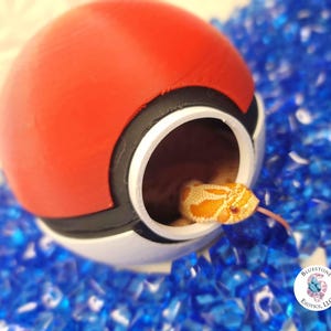 May include: A red, black, and white ball-shaped reptile habitat with a snake peeking out. The snake has orange and white markings. The habitat is surrounded by blue decorative stones.