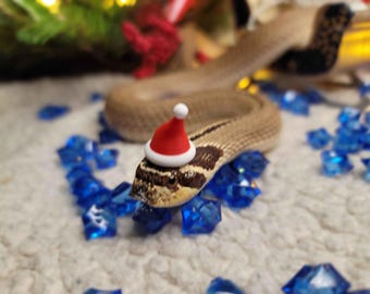 Miniature Santa Hat for Small Pet, Christmas Critter Accessory, Reptile Lover Funny Gift, Amphibian, Snake, Frog, Gecko, Guinea Pig, Rat
