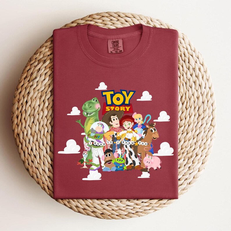 Pu&ograve; includere: Una t-shirt girocollo color marrone scuro con una grafica dei personaggi di Toy Story, tra cui Woody, Buzz Lightyear e Jessie. Il testo recita Toy Story e I Know It I Knew You, circondato da nuvole bianche. La maglietta ha un'etichetta Comfort Colors.