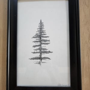 Dennenboom