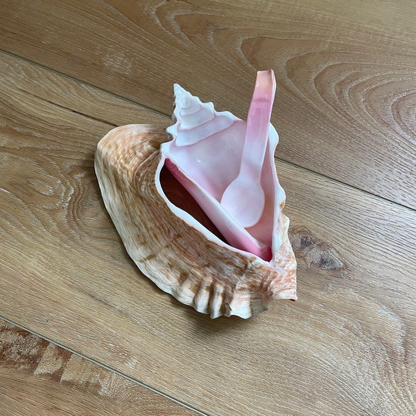 Vintage Carved Conch Shell Bowl