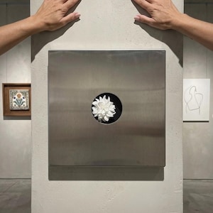 Puede incluir: Un panel de pared cuadrado de acero inoxidable cepillado con un recorte circular centrado. Dentro de la abertura circular, una sola flor blanca de múltiples pétalos se muestra sobre un fondo oscuro y hundido, creando un fuerte contraste.
