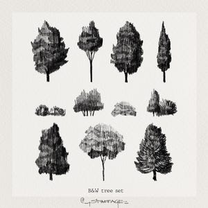 Puede incluir: Ilustración en blanco y negro de un conjunto de árboles. La imagen presenta varios diseños de árboles y arbustos, cada uno con formas y texturas únicas. El texto "B&W tree set" está en la parte inferior. La ilustración está sobre un fondo texturizado blanquecino.