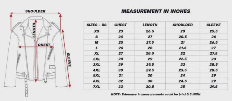 Avirex Traputo Bomber Jacket – Men’s Streetwear Designer Outerwear image 3