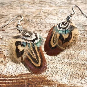 Pheasant feather earrings 'Copper'