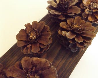 pine cone flowers