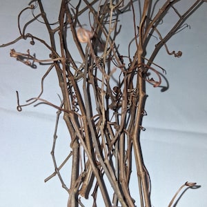 May include: A bundle of dried brown woody vines featuring thin, brittle stems and numerous small, curled tendrils extending outward. The natural plant material displays a textured, bark-like surface with varying shades of light and dark brown.