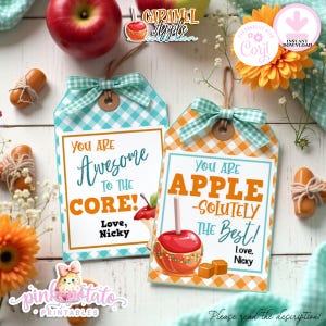 May include: Two rectangular gift tags with gingham borders, one teal and one orange, featuring the text 'You are Awesome to the Core!' and 'You are Apple-solutely the Best!' with illustrations of caramel apples and the signature 'Love, Nicky'.
