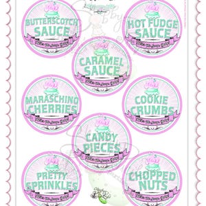Here's The Scoop, Baby-3" Round Buffet Cards-Customize in Corjl-Ice Cream Baby Shower-Gender Reveal-INSTANT DOWNLOAD image 17