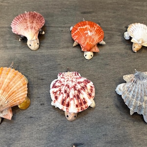 Peut inclure: Six figurines de tortues en coquillages de différentes couleurs, dont rose, orange et blanc. Chaque tortue a un corps en coquillage et une petite tête et des pattes arrondies. Les figurines sont disposées sur une surface en bois.
