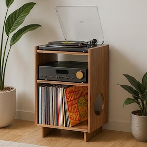 May include: A wooden record player stand with a turntable on top, a stereo receiver in the middle, and vinyl records on the bottom shelf. The stand has a circular cutout on the side. A houseplant is on either side of the stand.