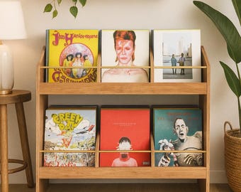 May include: A wooden record storage unit holding six vinyl albums with colourful covers. The albums include a yellow album with a band photo, a portrait of David Bowie, and a Green Day album. A lamp and plants are also in the image.