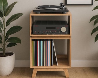 DIY Turntable Stand & Vinyl Record Storage Unit | Woodworking PDF Plans (Digital Download)