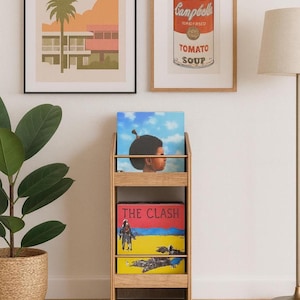 May include: A wooden record storage unit holding three vinyl records. Two framed art prints hang above the unit. One print says "Palm Springs" and the other is a Campbell's Tomato Soup can. A floor lamp and potted plant are also in the image.