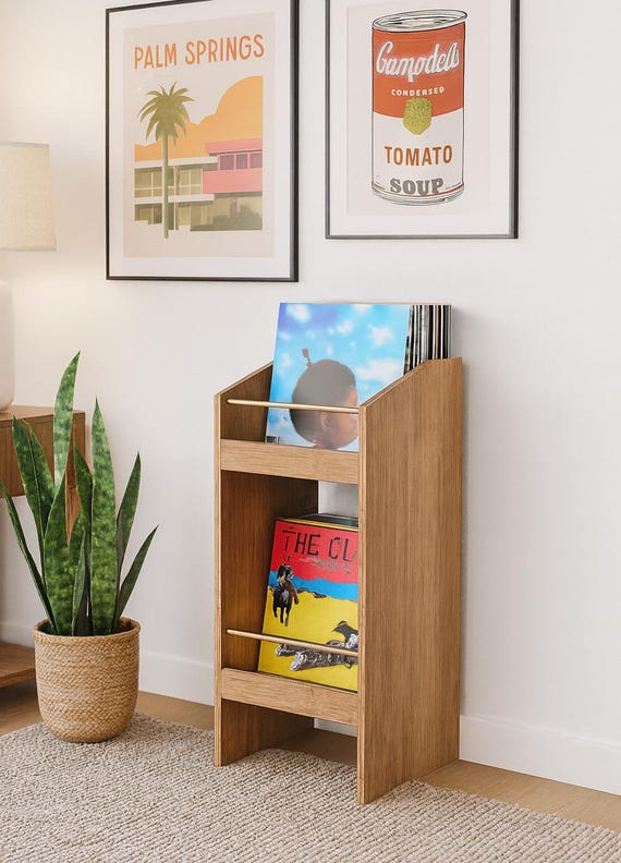 DIY Vinyl Record Display Unit | Woodworking Plan (PDF) Instant Download