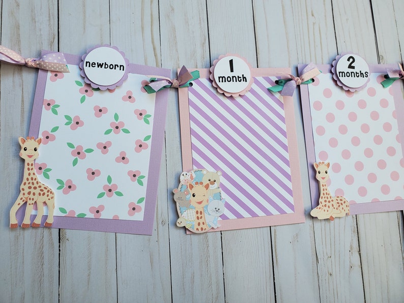 sophie the giraffe birthday