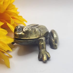 May include: A brass frog ornament with intricate detailing, placed beside a bright yellow sunflower. The frog has a textured finish and is set against a white backdrop, creating a striking contrast.