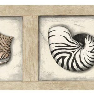 May include: A decorative border featuring three seashell illustrations. The shells are set against a neutral background within a light brown wooden frame. The shells include a striped conch, a nautilus, and a shell with a spotted pattern.