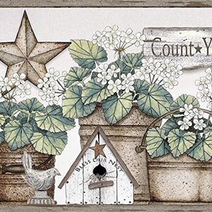 May include: A decorative image featuring a rustic theme. It includes birdhouses, flower pots with red and white flowers, a metal star, and a sign that reads "Count Your Blessings". The image has a vintage, farmhouse style.