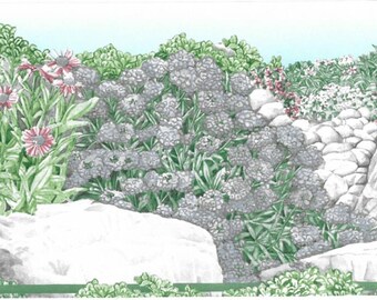 Floral Stone Wall Wallpaper Border FM7220