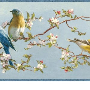 May include: A decorative border featuring three birds perched on flowering branches. The birds have blue, yellow, and white plumage. The branches are adorned with white and pink blossoms against a light blue background.