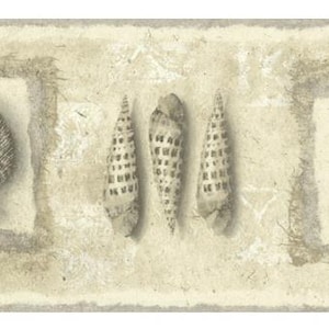May include: A decorative border featuring seashell illustrations in shades of beige and gray. The design includes various shell shapes, framed by a textured, neutral background, evoking a coastal theme.