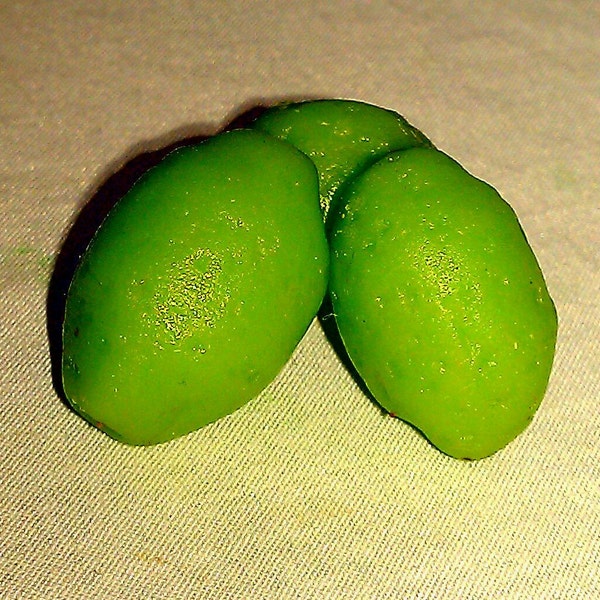 Marzipan Limes