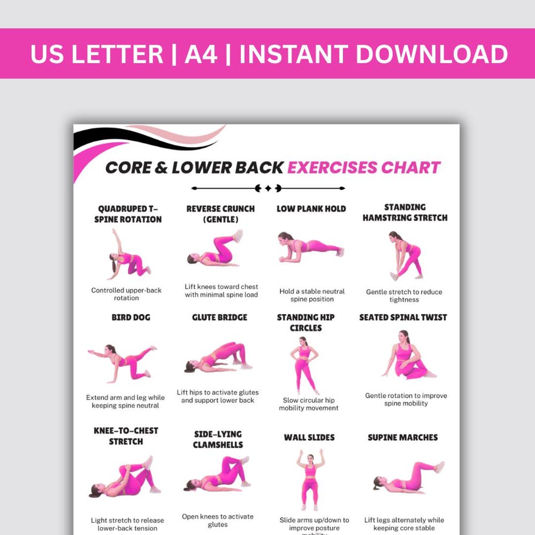 Low Impact Core & Back Exercises | Core Stability Workout Chart ...