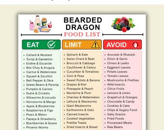 Lista di alimenti per draghi barbuti in formato PDF stampabile / Tabella degli alimenti sicuri e tossici per i draghi barbuti / Regalo per proprietari di draghi barbuti / Lista di alimenti che le lucertole possono e non possono mangiare in formato PDF